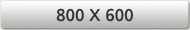 800 X 600
